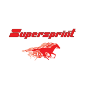 Parts supplier brand logo